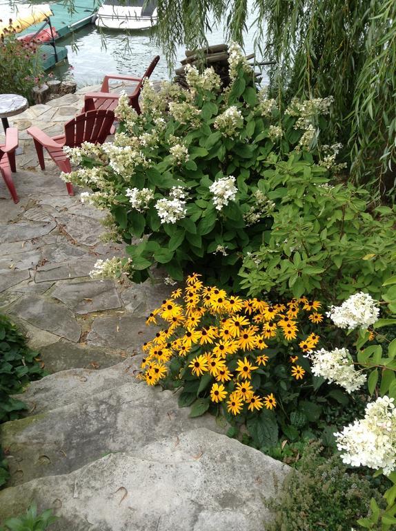 La Belle Aux Berges Bed and Breakfast Saint-Denis-sur-Richelieu Exteriör bild