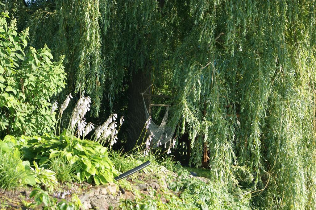 La Belle Aux Berges Bed and Breakfast Saint-Denis-sur-Richelieu Exteriör bild