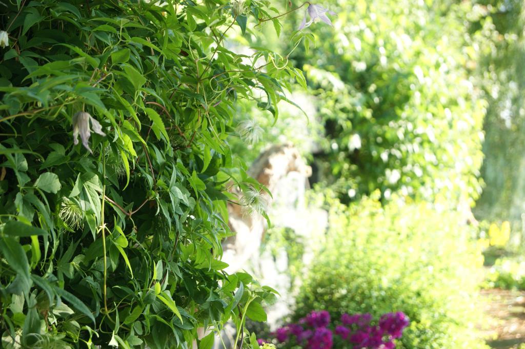 La Belle Aux Berges Bed and Breakfast Saint-Denis-sur-Richelieu Exteriör bild