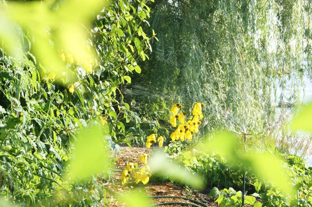 La Belle Aux Berges Bed and Breakfast Saint-Denis-sur-Richelieu Exteriör bild